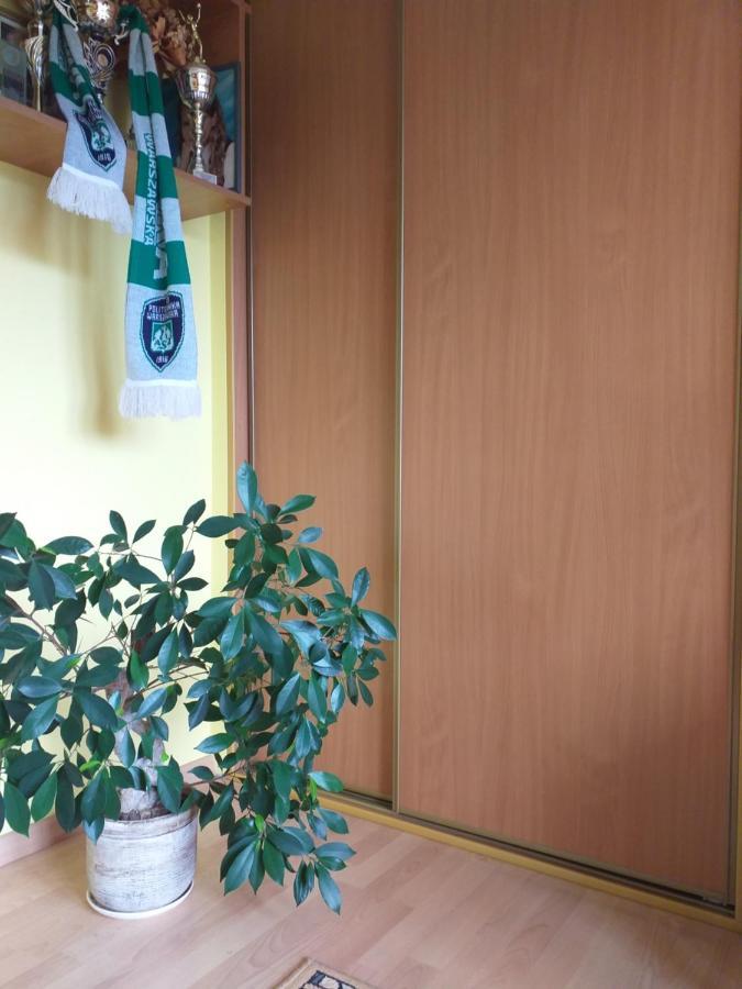 Domek Pod Przehyba - Pokoje Golkowice Dolne Exterior photo